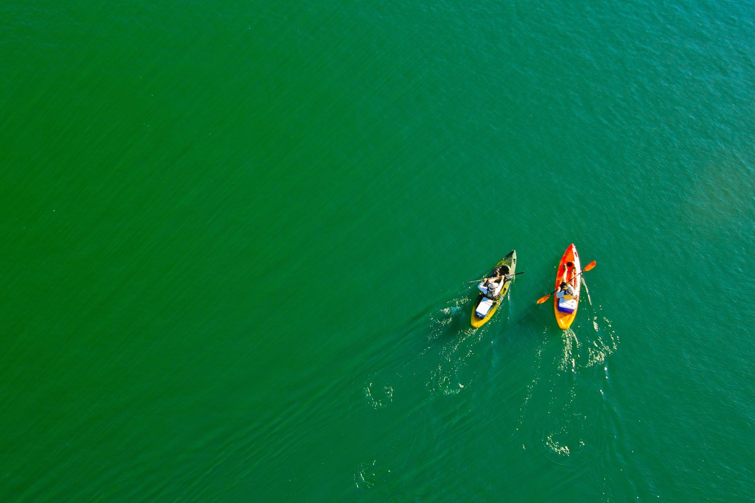 Foto de JOSE ROBERTO DE OLIVEIRA 19