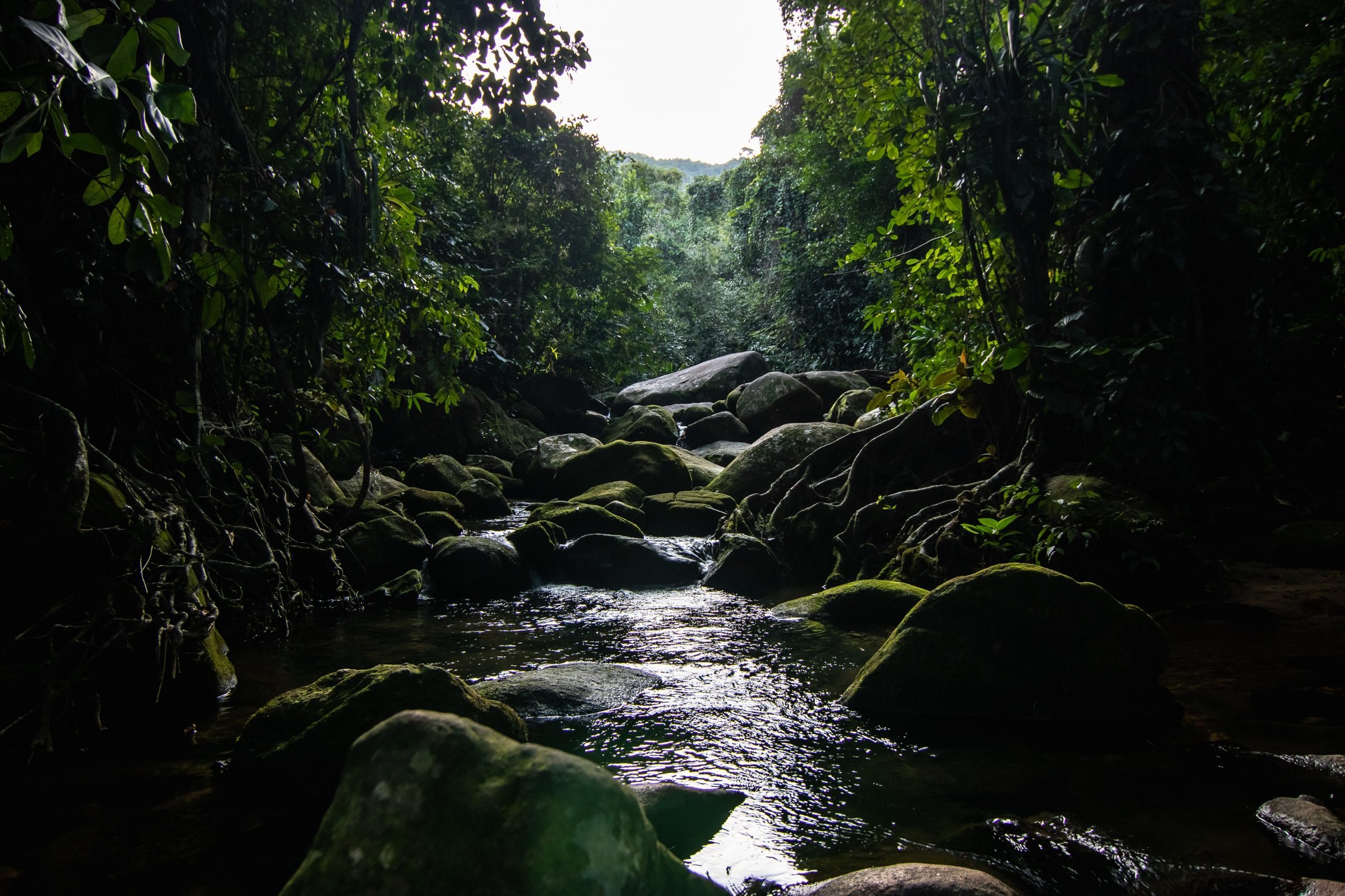 Foto de JOSE ROBERTO DE OLIVEIRA 13