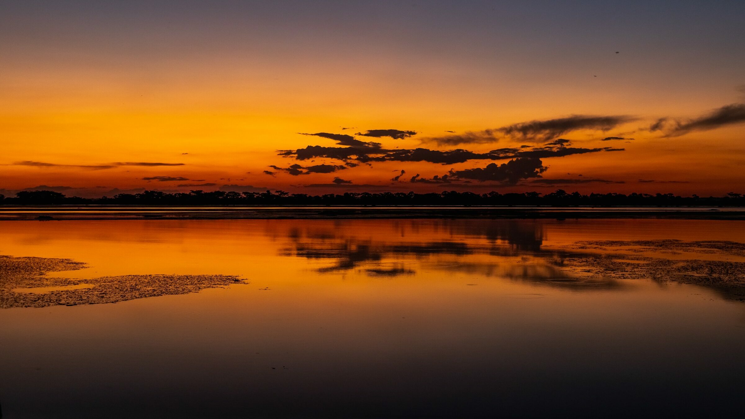 Foto de JOSE ROBERTO DE OLIVEIRA 15