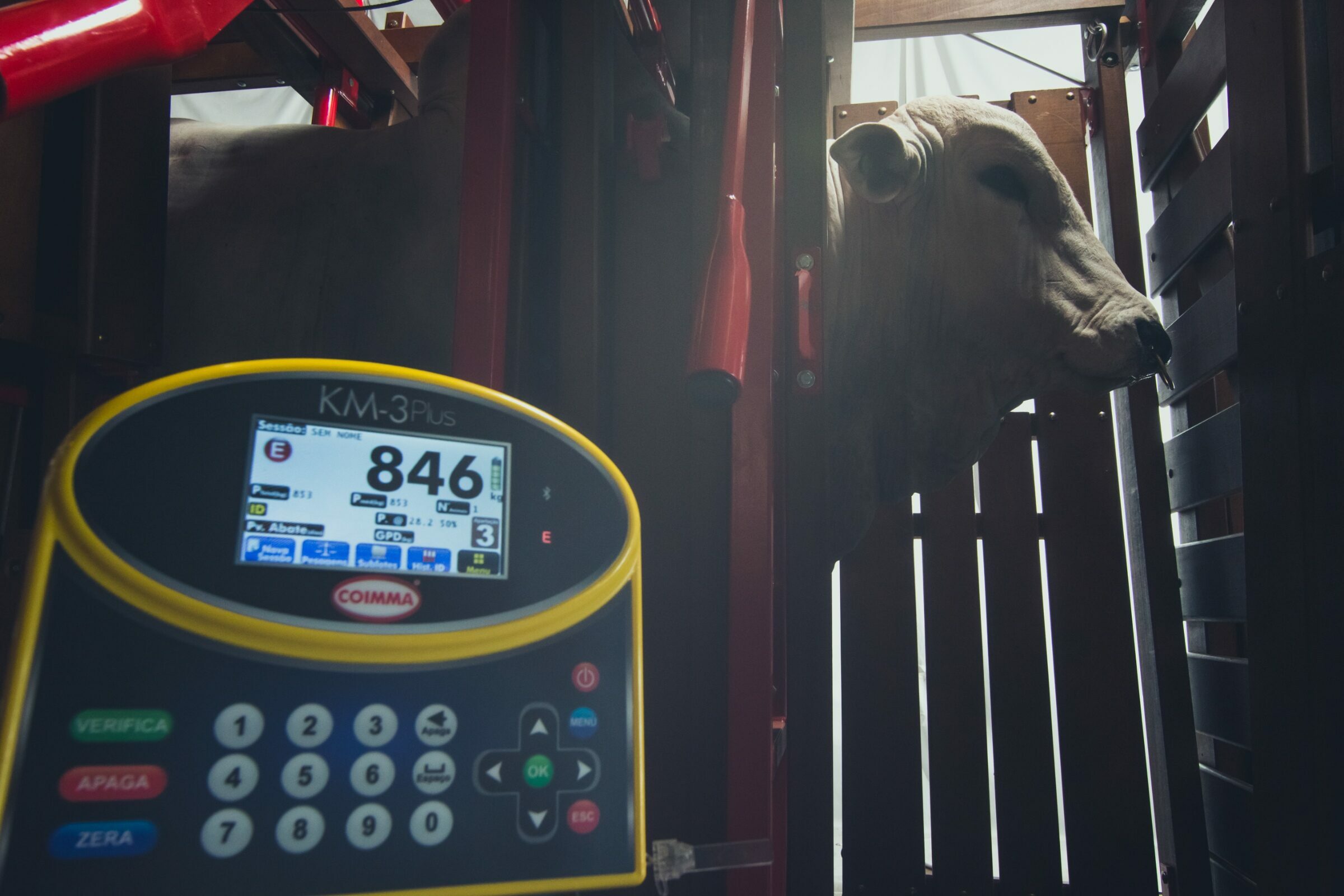 Foto de JOSE ROBERTO DE OLIVEIRA 12