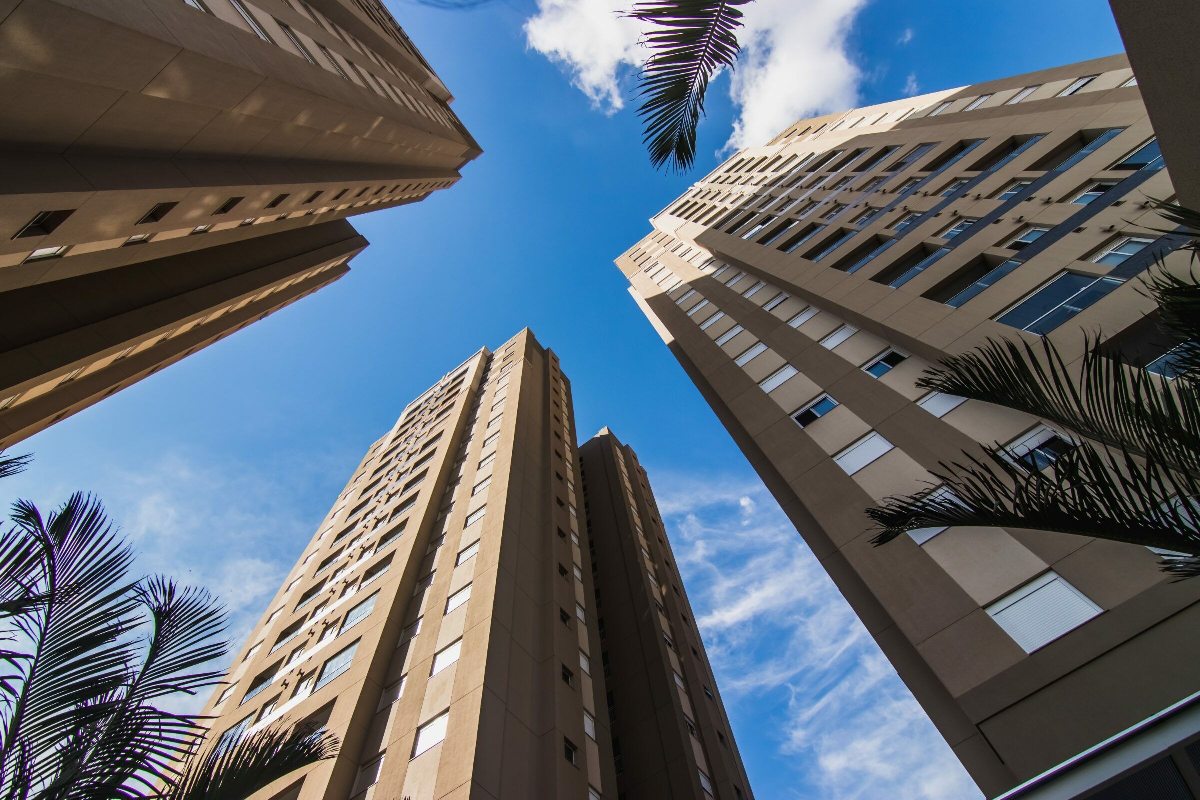 Foto de JOSE ROBERTO DE OLIVEIRA 9