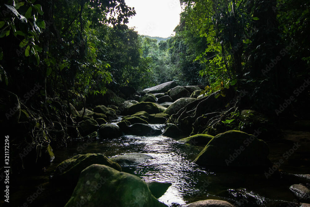 Foto Adobe Portfolio - Imagem 4